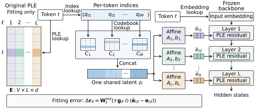 每个 token 只存一个共享码元组，各层专属仿射解码器据此还原本层 PLE 行；同色表示对应层，省略号表示略去的层与码本。