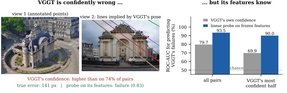 图1：同一座大门的航拍与地面视角——VGGT对该图像对的置信度高于74%的HardMatch样本，但其预测相机推出的极线偏离标注点141 px，而冻结特征上的线性探针成功标出了这次失败。